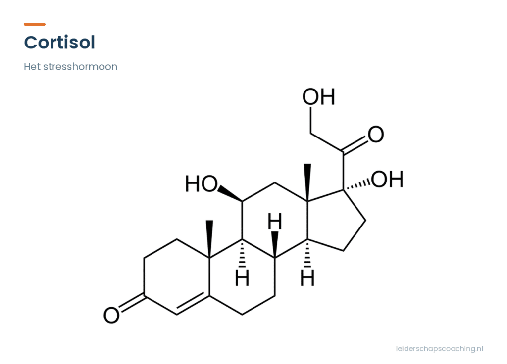 Stresshormoon: cortisol